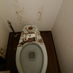 INAXトイレタンク取り外し後
