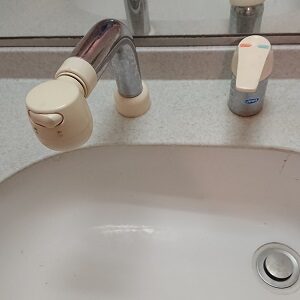 洗面台シャワー付きツーホール混合水栓